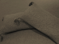 olive knitted bedcover | pillow view